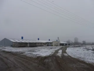 Земельный участок 716933 кв.м, нежилые здания 1737,2, 720, 992,9, 983,7 кв.м, права аренды, сельхозтехника и оборудование, Краснодарский край. Земельный участок 716933 кв.м в Краснодарский край. Здание нежилое, кад. № 23:23:0000000:329, вид разрешенного использования: сельскохозяйственное…