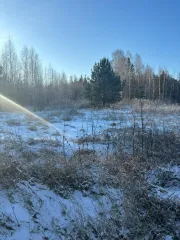 Земельный участок 14836 +/- 85 кв.м, Тюменская область, тер. Салаирское СТОО, к.н: 72:17:2006002:510. Вид разрешенного использования: для сельскохозяйственного производства.
