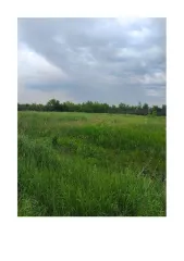 Земельный участок 2300 кв.м РТ В аренду на 4 года 10 мес. земельный участок, относящийся к землям населенных пунктов, кадастровый номер 16:45:050104:6411, площадью 2300 кв.м, вид разрешенного использования – ремонт автомобилей, расположенный по адресу: РТ, Альметьевский муниципальный район…