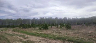 Земельный участок 1500 кв.м, Челябинская область, д. Григорьевка, Каслинский, ул Рябиновая, д. 4. Площадь - 1 500 кв.м., кадастровый номер - 74:09:0606002:382