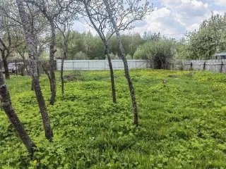 Земельный участок, 633 кв.м, Владимирская область, 633+/-18 кв.м. Кадастровый номер: 33:01:001806:190, адрес: Российская Федерация, Владимирская область, м.о. Александровский, п. Балакирево, снт СПСК Слобода, ул. Лесная, з/у 31. Площадь: 633 +/- 18, вид права: собственность, категория земель: для…