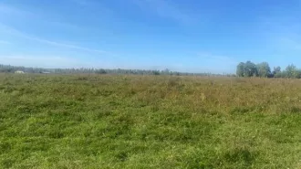 Аренда земельного участка из земель населённых пунктов площадью 1204 кв.м (кадастровый номер 38:06:100401:1104, адрес:  Российская Федерация, Иркутская область, Иркутский муниципальный район, Хомутовское сельское поселение, деревня Талька, переулок Байкальский, земельный участок 7). земельный…