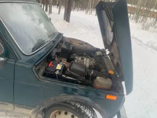 Транспортное средство: легковой автомобиль ВАЗ 21310,  2005 г.в., VIN ХТА21310050065385,  модель, № двигателя: 21214 7970178, цвет кузова: темно зеленый, мощность двигателя, л.с  кВт :80,9  59,5 , рабочий объем двигателя, куб см: 1690, тип двигателя: бензиновый на бензине, разрешенная максимальная…
