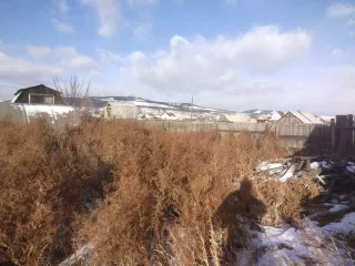 1/3 доли земельного участка площадью 576 кв.м, кадастровый номер 03:06:530105:285. Категория земель: сельскохозяйственного назначения. Разрешенное использование: для ведения гражданами садоводства и огородничества. Адрес: Респ. Бурятия, Заиграевский р-н, СНТ «Кирпичник», участок №119.