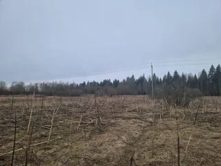 Земельный участок с кадастровым номером 69:10:0000037:1691, площадью 1 077 кв.м., местоположение: Тверская область, Калининский район, Верхневолжское с/п, с.Петровское.