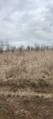 Земельный участок площадью 700 кв.м. Кадастровый номер: 50:23:0050573:1520. Категория земель: земли сельскохозяйственного назначения. Виды разрешенного использования: ведение садоводства. Местоположение: Российская Федерация, Московская область, городской округ Раменский, деревня Аргуново.