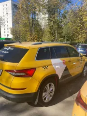 Škoda Kodiaq 2019 года, VIN: XW8LD6NS0LH408507.