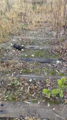 Земельный участок площадью 34338 кв.м. Ханты-Мансийский автономный округ - Югра, город Нижневартовск. Категория земель: земли населенных пунктов, вид разрешенного использования: под существующее сооружение. Кадастровый номер: 86:11:0902001:367.