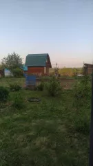 земельный участок  кадастровый номер: 54:19:155001:95 земельный участок  кадастровый номер: 54:19:155001:95   категория земель: земли сельскохозяйственного назначения  виды разрешенного использования: для садоводства, для ведения гражданами садоводства и огородничества  площадь: 600,0 кв.м.  адрес …