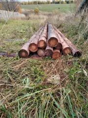 Древесина ель пихта бревна дрова части стволов годные остатки Древесина пород ель и пихта, в форме бревен, дров, частей стволов (годные остатки) 16 бревен породы ель (16 шт.); Дрова породы «Ель» - 113 шт, породы «Пихта» - 5 шт., (118 шт.); Дрова, породы «Ель» - 324 шт. и 76 шт., (400 шт.); Части…