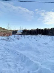 Земельный участок  кадастровый номер 76:17:153601:986 вид разрешенного использования объекта недвижимости: для ИЖС адрес: Ярославская область, Ярославский р н, д.Кормилицино площадь 800 +/  20 кв.м.