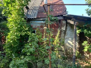 Жилое здание площадью 51,6 кв.м. по адресу: Саратовская область, г. Петровск, ул. Панфилова, д. 80, кадастровый номер: 64:45:030116:56. Согласно решению суда, дом разделен на доли по 1/2 между должником и супругом, перерегистрация не проведена. Дом заброшен, находится в ветхом состоянии, внутри…
