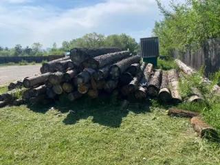 Сосна, 77 бревен, 39.6 м³. Красноярский край, село Краснотуранское. 58 бревен породы сосна длиной 6 м (32.2 м³), 19 бревен породы сосна длиной 4 м (7.4 м³). Срублен предположительно конец 2022 года - начало 2023 года. Хранился на открытой площадке, почернел, кора отслаивается. На данный момент…