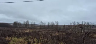 Земельный участок 800 кв.м., Тула, д. Янчерево Земельный участок площадью 800 кв.м., с кадастровым номером 71:14:040601:3393 <p>Земельный участок площадью 800 кв.м., с кадастровым номером 71:14:040601:3393, расположенный по адресу: Тульская область, городской округ город Тула, деревня Янчерево</p>