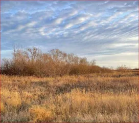 Земельный участок площадью 1 000 000 кв.м в Курганской области, Шадринский район, МО Краснонивинский сельсовет, в границах бывшего ЗАО НП "Совхоз Шадринский". Кадастровый номер: 45:20:051301:231. Категория земель: земли сельскохозяйственного назначения. Вид разрешенного использования: для…