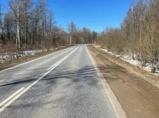 Земельный участок 1000 кв.м, Ленинградская область, Волховский район, СНТ «Пурово-ЛМЗ», Кисельнинское сельское поселение, массив Пурово, линия 12, участок 75, кадастровый номер: 47:10:1402001:68.