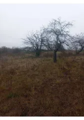 Земельный участок площадью 600 кв.м, расположенный по адресу: Курская область, Курский район, Полевской сельсовет, ул. Набережная, д. 143. Кадастровый номер: 46:11:150206:648. В Едином государственном реестре недвижимости отсутствуют сведения о местоположении границ земельного участка. Регистрация…