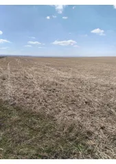 Земельный участок 1500031 кв.м, 4/36 доли, Кизильский р-н, Гранитное, Челябинская область 4/36 доли на земельном участке, площадь 1500031 +/- 10717 кв.м., назначение: Земли сельскохозяйственного назначения, адрес (местонахождение): Челябинская область, р-н.Кизильский, Гранитное, кадастровый…