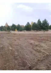 Земельный участок 2436 кв.м, Свердловская обл., 2436 кв.м, площадь: 2 436кв.м., адрес (местонахождение): 622000, Свердловская обл, Пригородный р-н, правее автодороги на с.Петрокаменское, при выезде из с.Николо-Павловское, участок №103, кадастровый номер: 66:19:1909003:944, Категория земель: Земли…