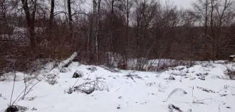 Доля в жилом помещении 29,2 кв.м., Брянская область: 1/20 доли в праве на жилое помещение общей площадью 29,2 кв.м., кадастровый номер 32:02:0150101:1228; 15/20 доли в праве на жилое помещение общей площадью 29,2 кв.м., кадастровый номер 32:02:0150101:1228, расположенное по адресу: Брянская…