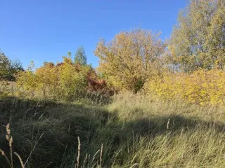 Земельный участок КН 50:16:0501003:3144 1204 кв.м Московская область. Площадь земельного участка: 1204. Кадастровый номер земельного участка: 50:16:0501003:3144. Основной вид разрешенного использования: 2.1