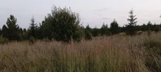 Земельный участок площадью 803 кв.м. Кадастровый номер: 18:08:049001:442. Назначение: земли населенных пунктов. Адрес: Россия, Удмуртская Республика, Завьяловский район, село Бабино, микрорайон "Восточная Слобода", улица Казанская, участок 18. Продается 4/5 доли.