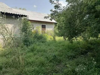 Нежилое здание 204,1 кв.м и земельный участок 1500 кв.м, Рязанская область Здание назначение: нежилое, количество этажей: 1, в том числе подземных 0 с кадастровым номером 62:19:1300101:629, площадь 204,1 кв.м., адрес (местонахождение) объекта: Российская Федерация, Рязанская область, муниципальный…