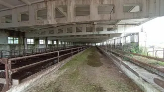 Стойловое стационарное оборудование 2d