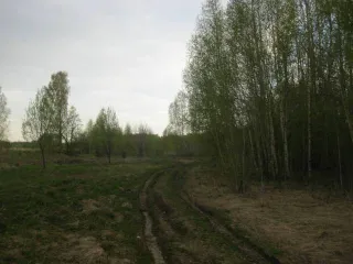 Земельный участок 1329 кв.м, Нижегородская обл, категория земель земли населенных пунктов, виды разрешенного использования объекта недвижимости для ведения личного подсобного хозяйства, кадастровый номер: 52:15:0120103:13, пл. 1329 кв. м., находящийся по адресу: Нижегородская обл, р-н Городецкий…
