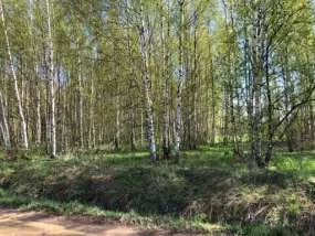 Земельный участок, 76:09:093401:2330, Ярославская обл., Некрасовский р-н, с/о Климовский, д. Климовское, тер с/х земля Климовское, 1940 +/-31 кв.м.