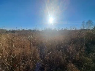 Земельный участок 579 кв.м в Красноярском крае, г. Назарово, садовое общество ЖБК № 3, улица № 1, участок № 7. Кадастровый номер: 24:54:0107001:353. Категория земель: Земли населенных пунктов.