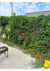 Доля в жилом доме 71,6 кв.м и земельном участке 819 кв.м в селе Осыпной Бугор, Астраханская область. В собственности 1/9 доля в жилом доме (кадастровый номер 30:09:100101:698) и 1/9 доля в земельном участке (кадастровый номер 30:09:100106:1139) по адресу: переулок Мусы Джалиля, дом 1. Все риски…