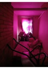 1/4 доли дома и участка, 34,9 кв.м, Владимирская область. 1/4 доля дома и 1/4 доля земельного участка во Владимирской обл. 1/4 доля дома и 1/4 доля земельного участка во Владимирской обл. 1/4 доли в общей долевой собственности на жилой дом, площадь 34,9 кв.м., кадастровый (условный) номер…