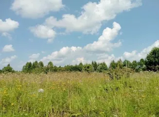 Земельный участок 600 кв.м, Московская область, кадастровый номер 50:18:0050407:1242, основной вид разрешенного использования: 2.1.