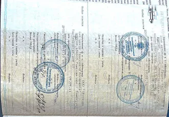 ВИС 234700-40, VIN X6D234700D1011445, модель, номер двигателя ВАЗ 11183, 5906971, кузов X6D234700D1011445, цвет белый, 2013 год.