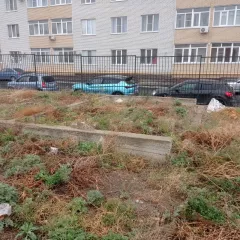 Нежилое (многофункциональное) здание с кадастровым номером 61:58:0004524:560, площадью 1138.1 кв.м., количество этажей 2, в том числе подземных 1, По адресу: Ростовская область, г. Таганрог, пер. Новый 1-й, д. 22а
Право пользования на условиях аренды земельным участком с кадастровым номером…
