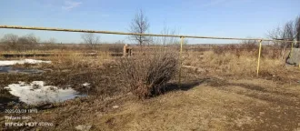 Земельный участок 4224 кв.м, Свердловская область, муниципальный округ Богданович, село Бараба, улица Ленина, дом №8А, кадастровый номер 66:07:1501001:31, находится в залоге в пользу АО "ROSSELHOZBANK" (ИНН 7725114488). Продажа имущества на торгах приводит к прекращению права залога (ипотеки) - пп…