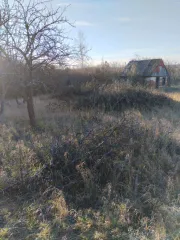 Земельный участок 600 кв.м, садоводство, Нижегородская область. <p>Земельный участок, площадь 600 кв. м., назначение: для садоводства, адрес (местонахождение): Россия, обл. Нижегородская, р-н Арзамасский, садоводство 17, уч. 434, кадастровый (условный) номер: 52:41:1602003:666. Вид собственности…