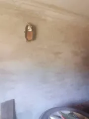 Гараж 7.2 кв.м, Пермский край, г. Краснокамск, гск 30А (Пушкина ул), дом 25. Кадастровый номер помещения: 59:07:0010619:380. Расположен на земельном участке кадастровый номер: 59:07:0010707:76, площадь 8.3 кв.м., категория земель: земли населенных пунктов, вид разрешенного использования: гаражи на…