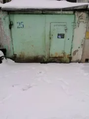 Гараж, 24,6 кв.м, Курская обл., г. Железногорск; Нежилое помещение, площадь: 24,6 кв.м., адрес (местонахождение): Курская область, г Железногорск, ГСК-15, ул. Молодежная, гараж №25, кадастровый номер: 46:30:000014:9342