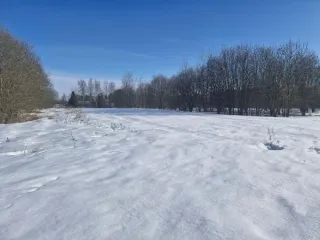 Земельный участок 2000 кв.м, Московская область. Кадастровый номер 50:33:0030436:648. Основной вид разрешенного использования 2.2.