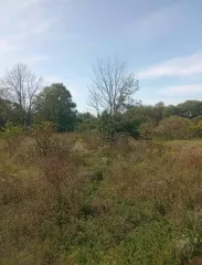 Земельный пай площадью 7925976 м² в Орловской области, Шаблыкинский район, сельское поселение Навлинское, село Навля. Кадастровый номер: 57:04:0000000:36. Категория земель: сельскохозяйственного назначения. Вид разрешенного использования: для сельскохозяйственного производства. Доля в праве общей…