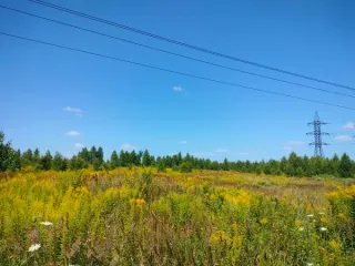 Продажа 14 земельных участков общей площадью 300957 кв. метров, местоположение: Российская Федерация, Нижегородская область, г. о. город Нижний Новгород, сп. Новинки, для жилищного и/или иного строительства. Кадастровые номера: 52:24:0040001:17661, 52:24:0040001:17662, 52:24:0040001:17663…