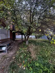Жилой дом 118,5 кв.м, садовый дом 33,3 кв.м, земельный участок 558 кв.м, Московская область Недвижимое имущество, находящееся в залоге у АО «ТБанк»: жилой дом, площадью 118,5 кв.м., с кадастровым номером 50:16:0601053:651 и садовый дом, площадью 33,3 кв.м., с кадастровым номером 50:16:0601053:188…