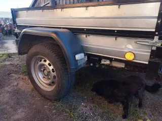 Прицеп КРЕПЫШ 821303, 2024 года выпуска, к легковому автомобилю, идентификационный номер (VIN) X8L821303P0281528, номер шасси (рамы) X8L821303P0281528, номер кузова отсутствует, государственный регистрационный знак АЕ6040 03, свидетельство о регистрации № 9975782675, дата регистрации 05.02.2025.