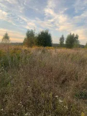 Земельный пай площадью 7925976 м² в Орловской области, Шаблыкинский район, сельское поселение Навлинское, село Навля. Кадастровый номер: 57:04:0000000:36. Категория земель: сельскохозяйственного назначения. Вид разрешенного использования: для сельскохозяйственного производства. Доля в праве общей…