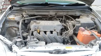 Легковой седан Toyota Corolla Runx 2001 года выпуска, государственный номер Х766АТ125, VIN отсутствует, кузов NZE1215007876, свидетельство о регистрации ТС 99 19 №767491 от 22.06.2020. Ознакомление с имуществом производится по месту его нахождения с момента публикации сообщения до окончания приема…