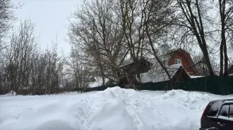 Земельный участок площадью 599 кв.м. Категория: земли населенных пунктов. Вид разрешенного использования: для ведения личного подсобного хозяйства (приусадебный земельный участок). Адрес: Московская область, городской округ Кашира, г. Кашира, ул. Пролетарская. Основной вид разрешенного…