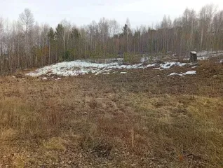 Земельный участок 1942 кв.м, Ангарский городской округ, СНТ "Русские березы-1", площадью 1 942 кв.м., расположенная по адресу: АНГАРСКИЙ ГОРОДСКОЙ ОКРУГ, Ангарский городской округ, автодорога "Подъезд к с. Савватеевка" СНТ "Русские березы-1", улица Овражная, земельный участок 511. Кадастровый…