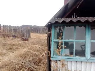 Дом и земельный участок, 1/4 доли, Иркутская область. 1/4 доля дома и 1/4 доля земельного участка в Иркутской обл. Еще 1/4 доля дома и 1/4 доля земельного участка в Иркутской обл. Еще 1/4 доля в здании, площадь 36.2 кв.м., назначение: жилое, количество этажей: 1, адрес (местонахождение): Россия…